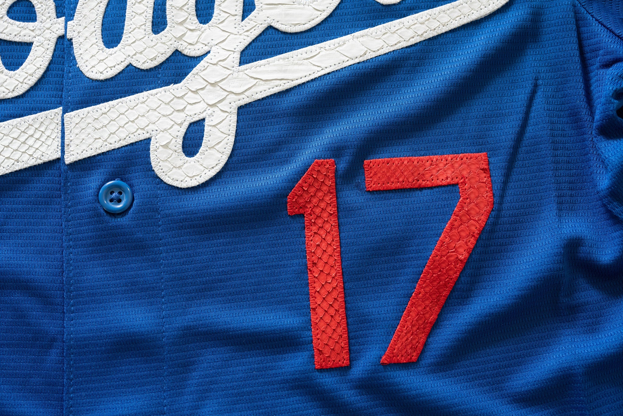 Custom Nike Shohei Ohtani Los Angeles Dodgers Python Jersey (Blue)