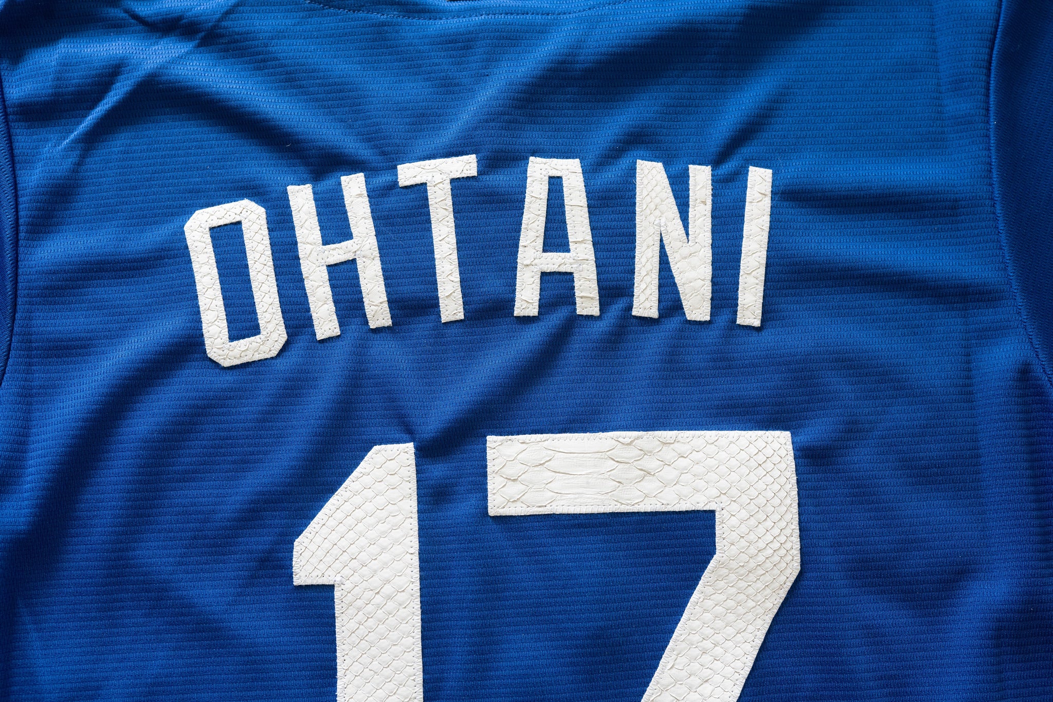 Custom Nike Shohei Ohtani Los Angeles Dodgers Python Jersey (Blue)
