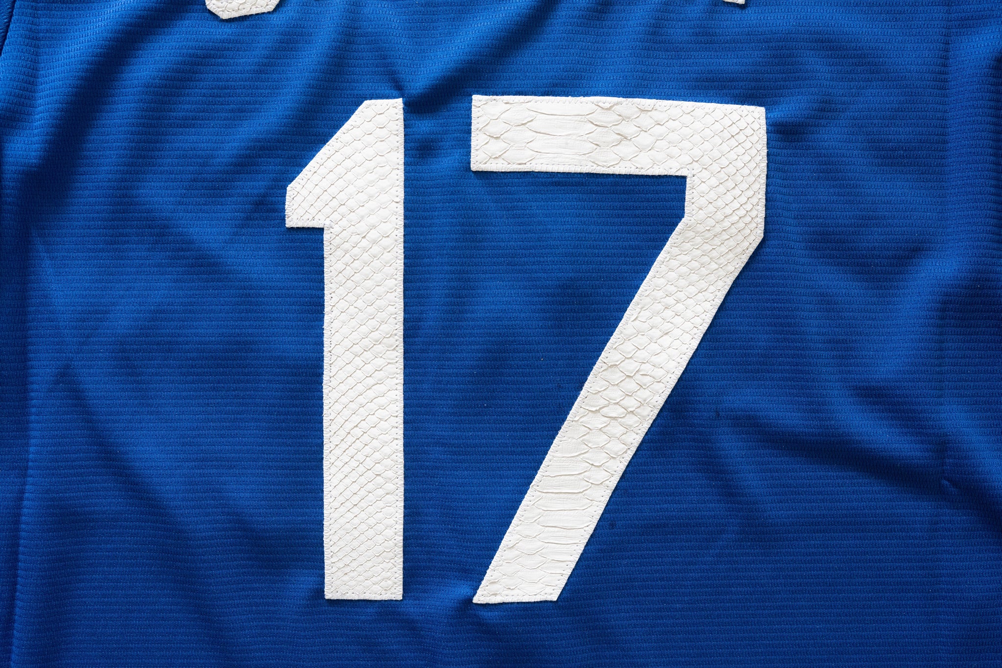 Custom Nike Shohei Ohtani Los Angeles Dodgers Python Jersey (Blue)