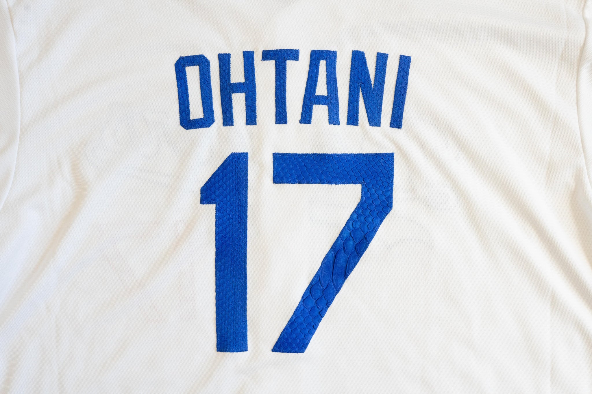 Custom Nike Shohei Ohtani Los Angeles Dodgers Python Jersey (White)