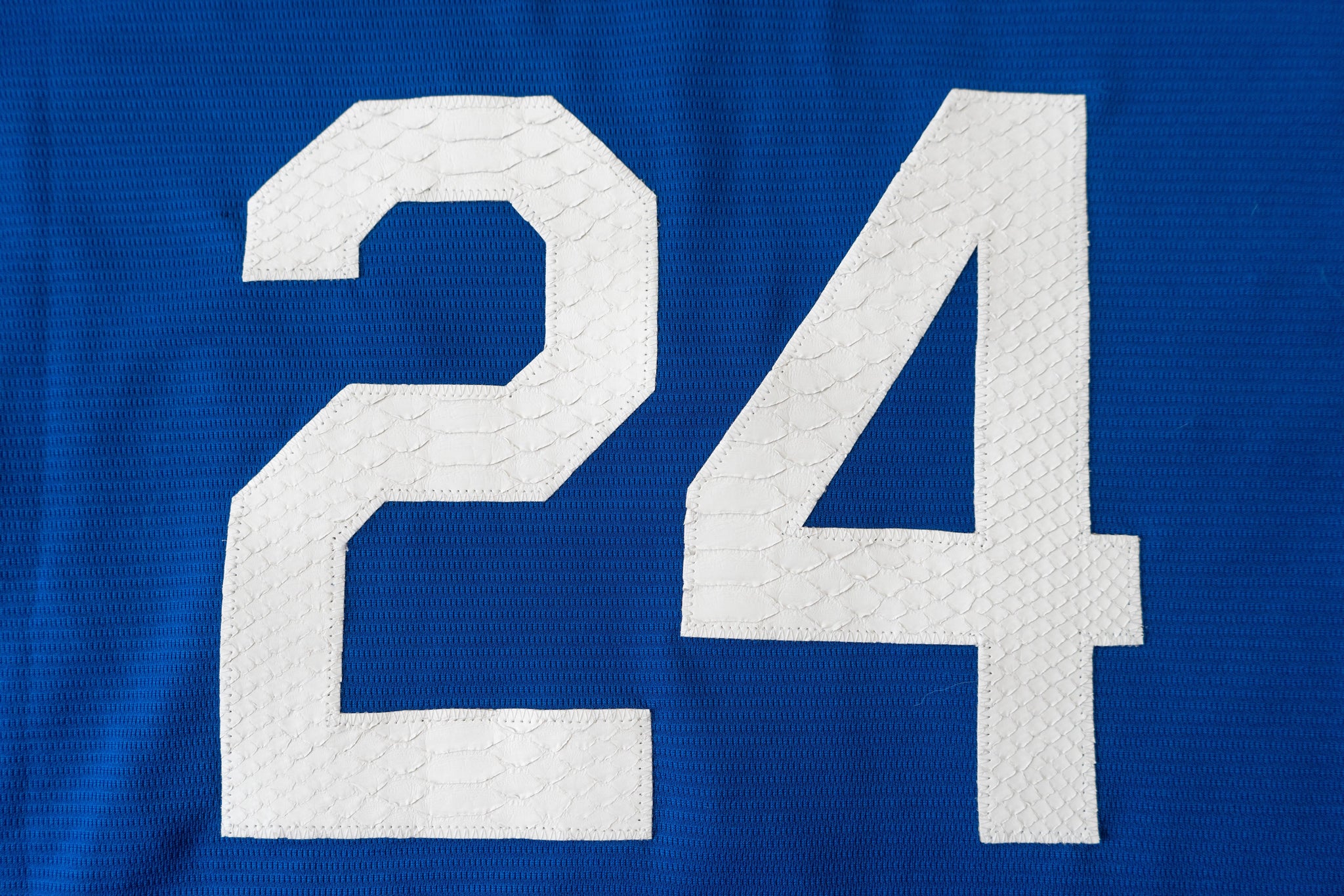 Custom Nike Kobe Bryant Los Angeles Dodgers Python Jersey (Blue)