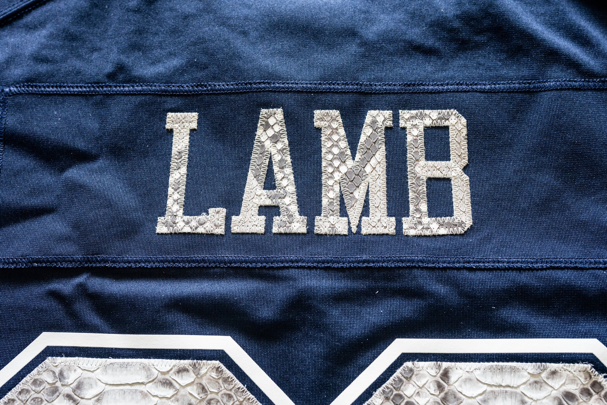 Custom Nike CeeDee Lamb Dallas Cowboys Python Jersey