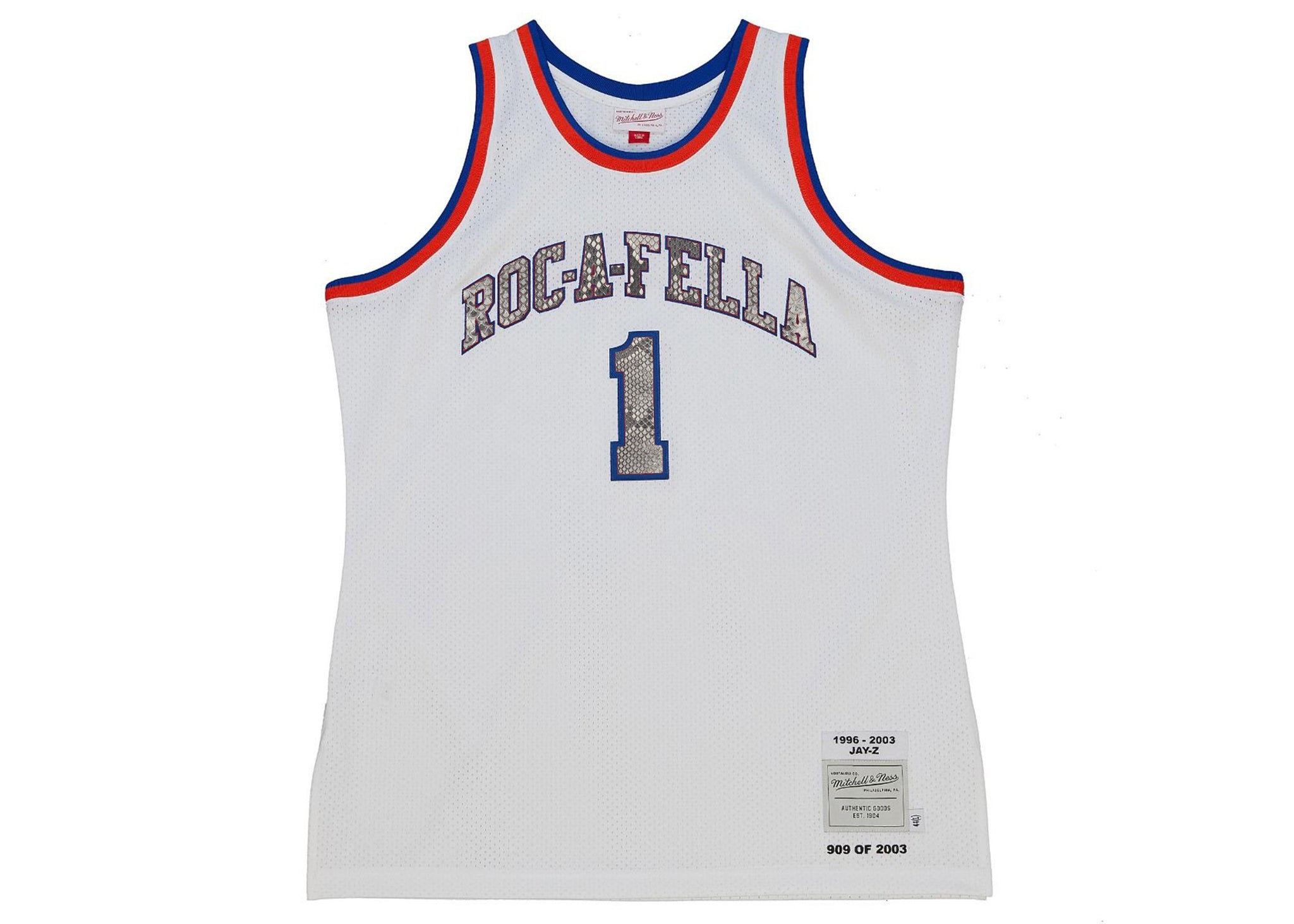 Custom Mitchell & Ness Jay-Z Roc-A-Fella NY Python Jersey
