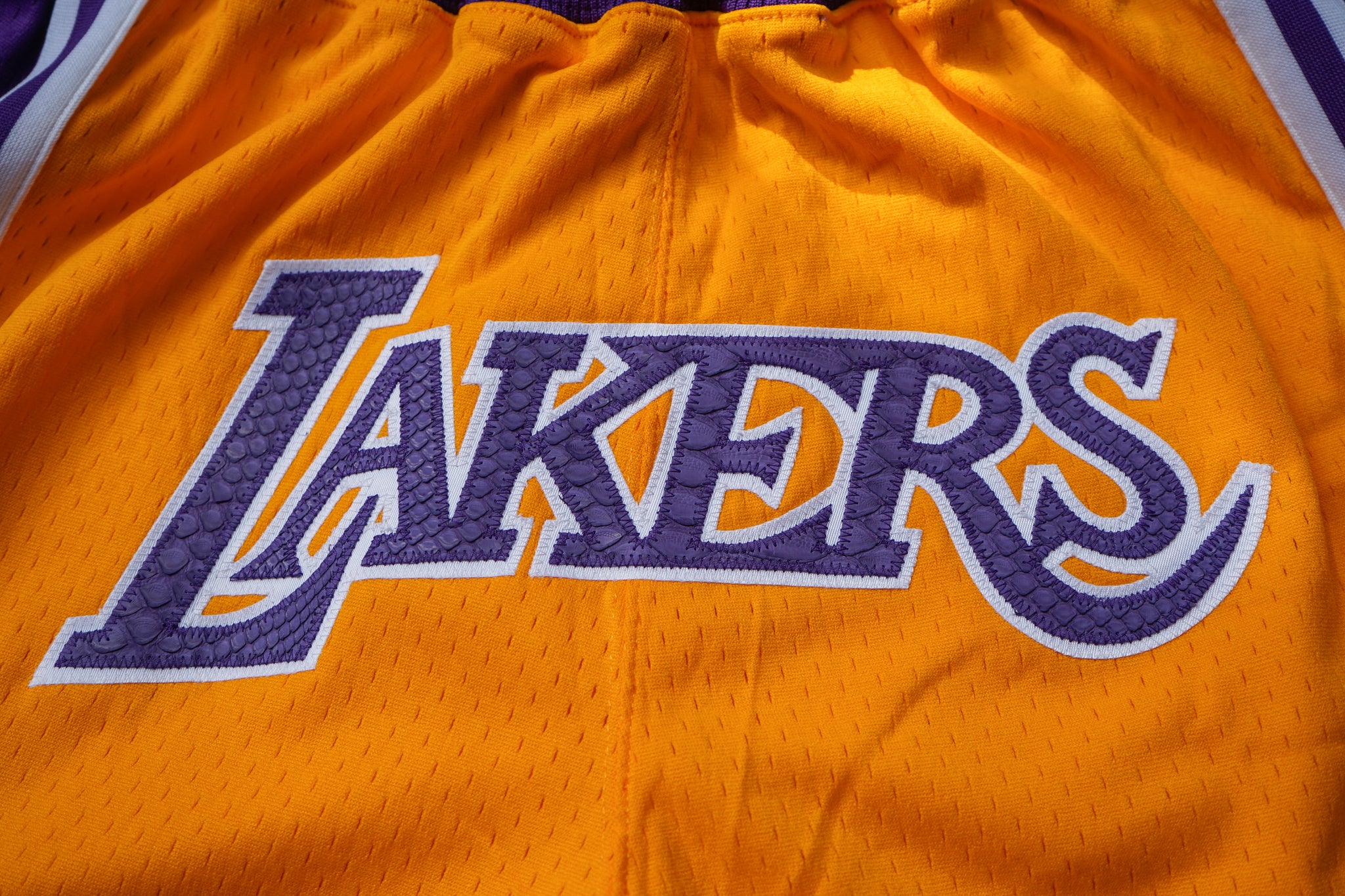 Custom Mitchell & Ness Los Angeles Lakers 1996-1997 "LAKERS" Home Python Shorts