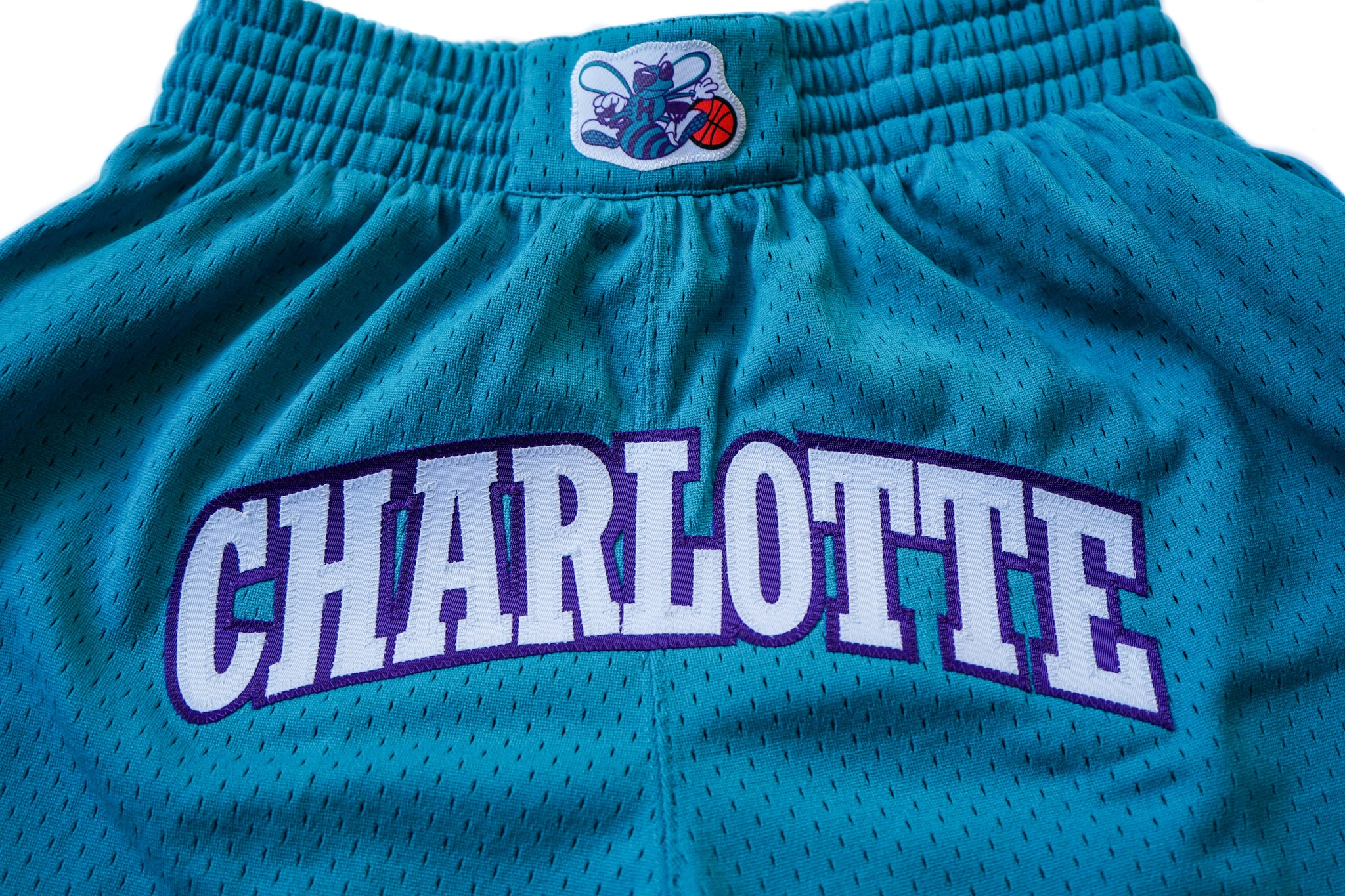 Custom Mitchell & Ness Charlotte Hornets 1994-1995 "CHARLOTTE" Swingman Shorts