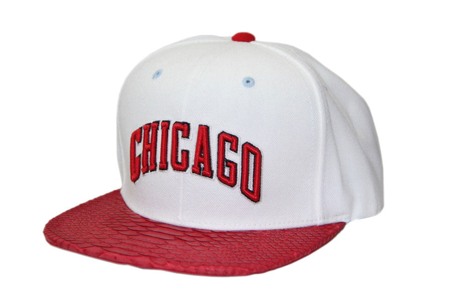 Custom Mitchell & Ness Chicago Bulls Arch Logo Strapback