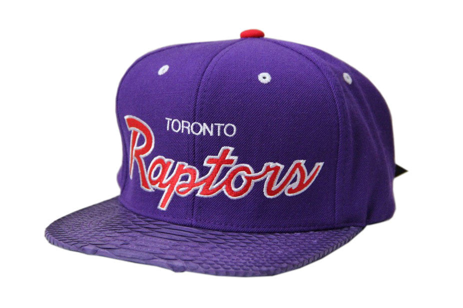 Custom Mitchell & Ness Toronto Raptors The Script Strapback