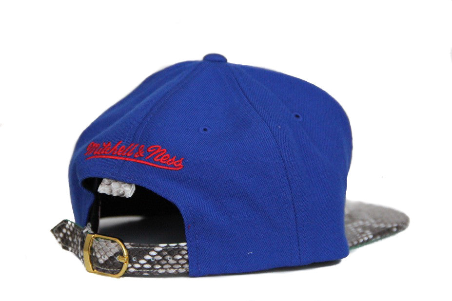 Custom Mitchell & Ness Detroit Pistons Basic Logo Strapback