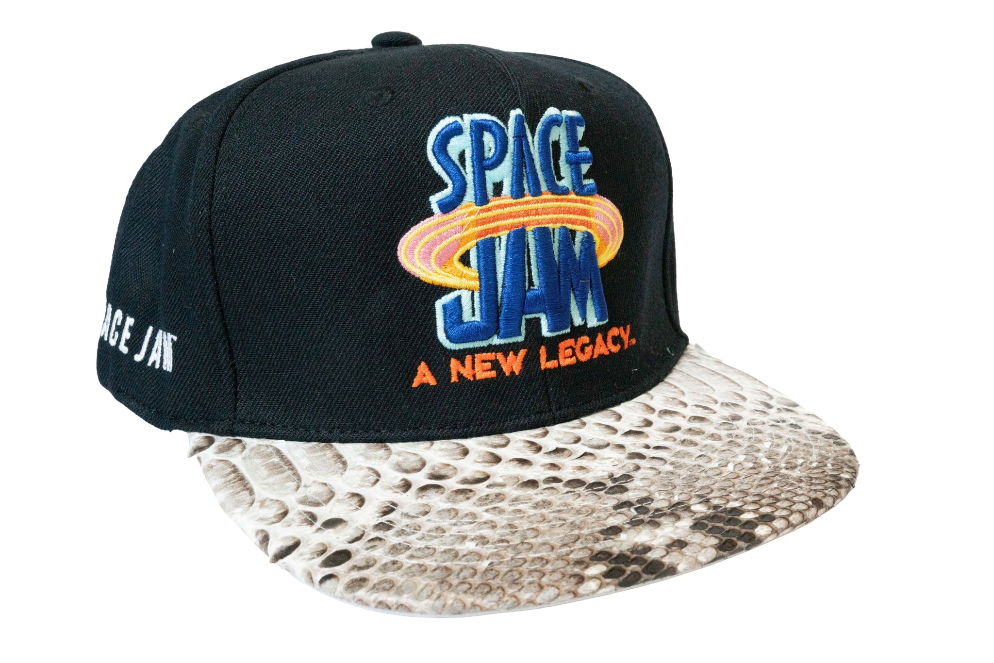 Custom Mitchell & Ness Space Jam Strapback