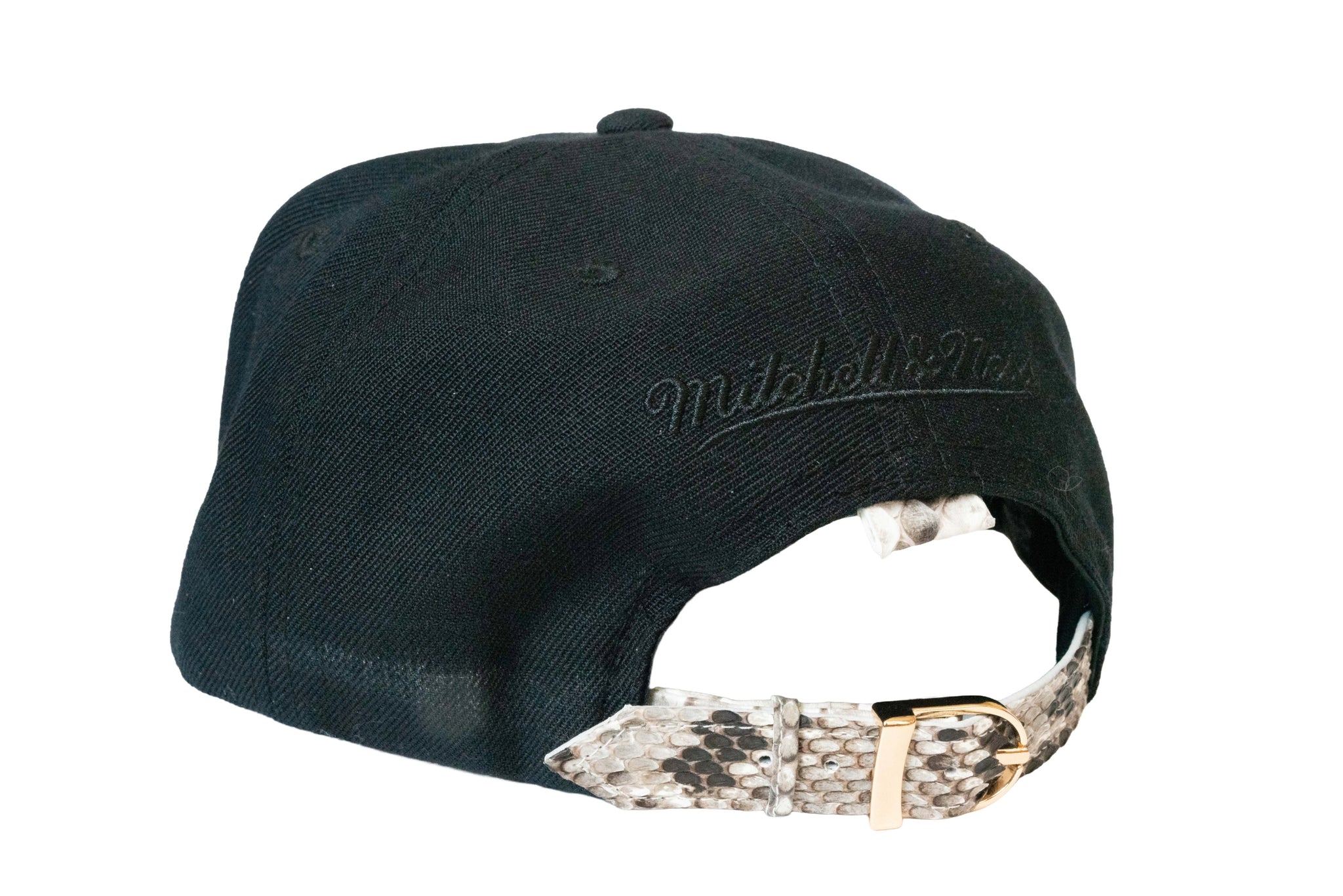 Custom Mitchell & Ness Space Jam Strapback