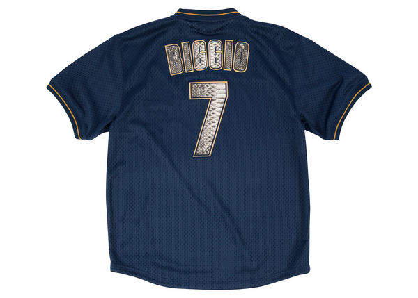Custom Mitchell & Ness Craig Bigio 1997 Houston Astros Authentic BP Python Jersey