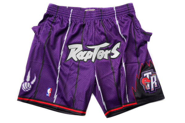 Custom Mitchell & Ness Toronto Raptors Swingman Shorts