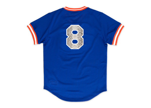 Custom Mitchell & Ness Gary Carter 1986 New York Mets Authentic BP Python Jersey