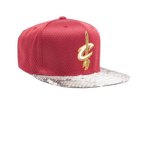 Custom Mitchell & Ness Cleveland Cavaliers Jersey Mesh Strapback