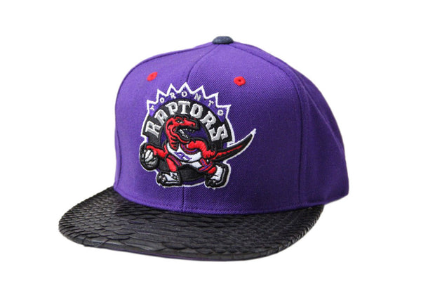 Custom Mitchell & Ness Toronto Raptors 2 Tone Strapback