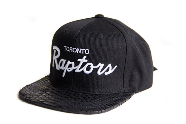 Custom Mitchell & Ness Toronto Raptors Special Script Black Strapback