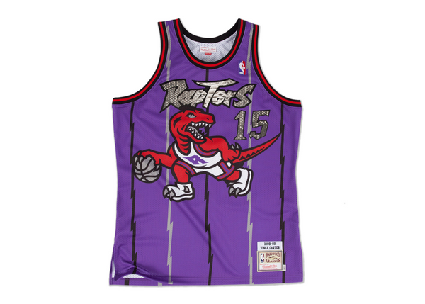 Custom Mitchell & Ness Vince Carter 1998-1999 Toronto Raptors Python Jersey